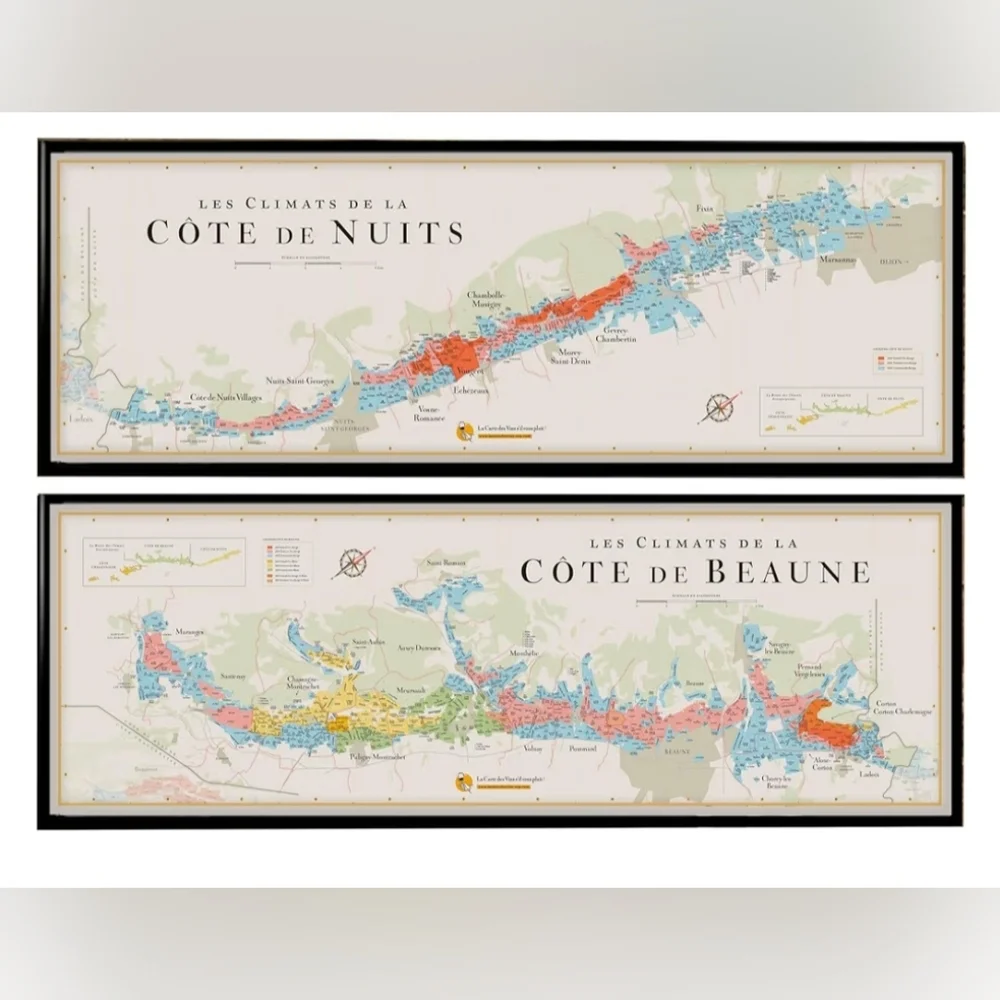 NIB. Maps Of Climats De Bourgogne - France Wine Region Wall Art - Without Frame